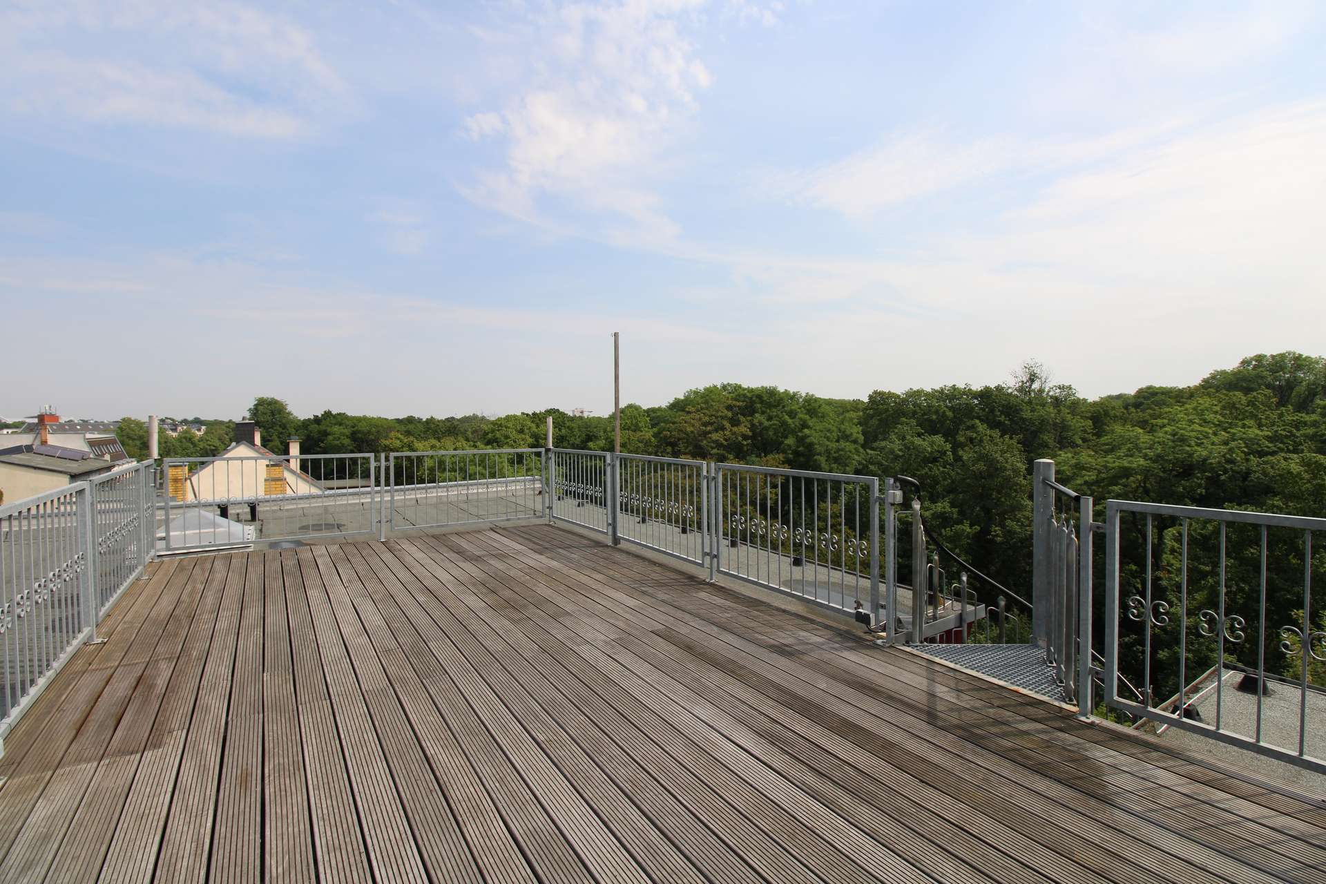 Bezugsfrei: Penthouse mit Loggia und Dachterrasse, einzigartiger Blick über den Clara-Zetkin-Park