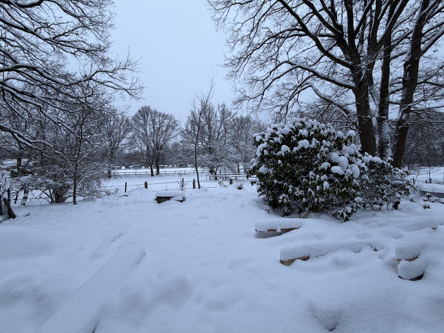 Property thumbnail 17