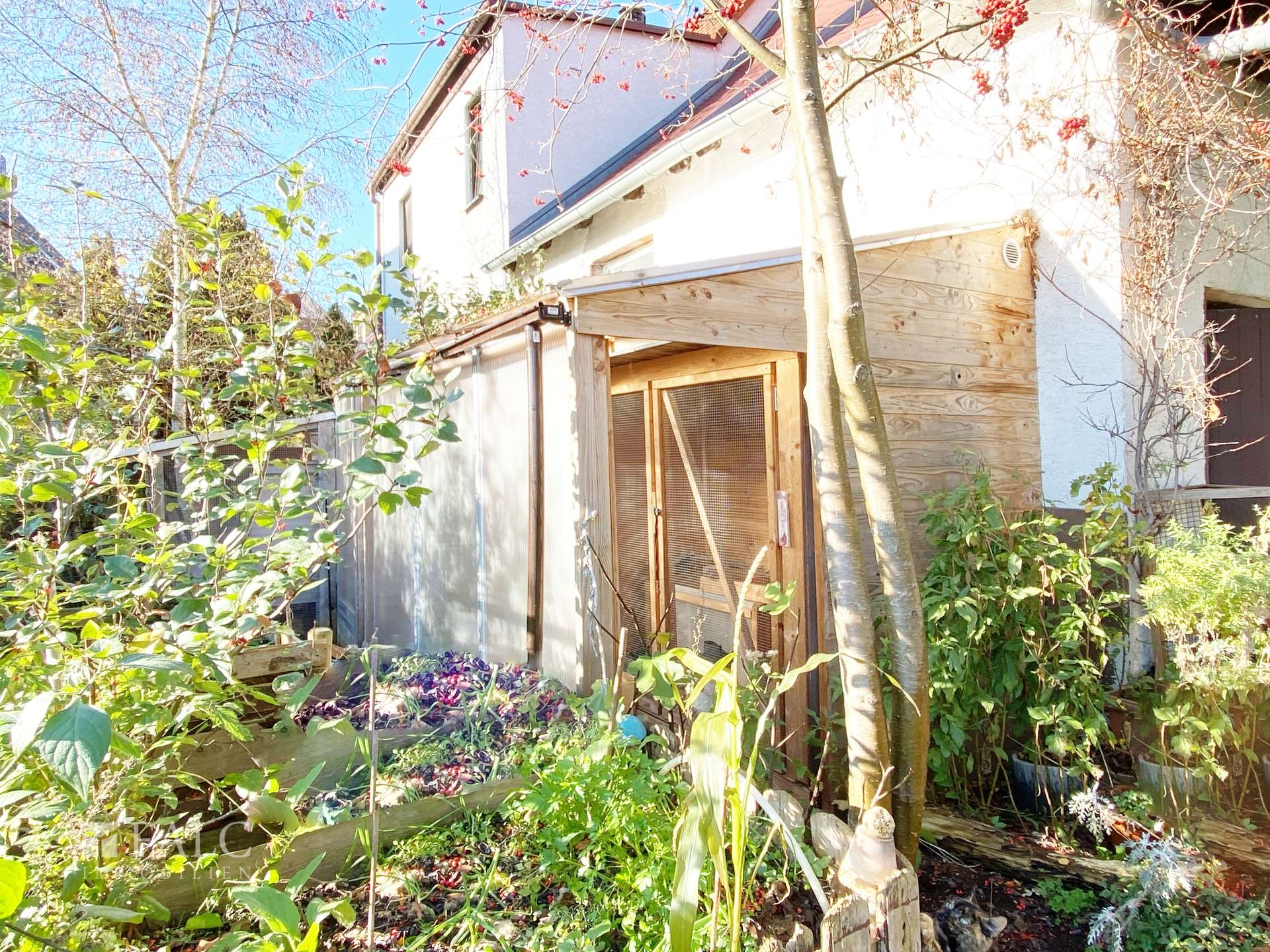 Ruhiges Familienidyll und viel Platz. Zwei wirtschaftlich getrennte Häuser+ Garten zum Einheitspreis – Bad Klosterlausnitz – Vorschaubild 8
