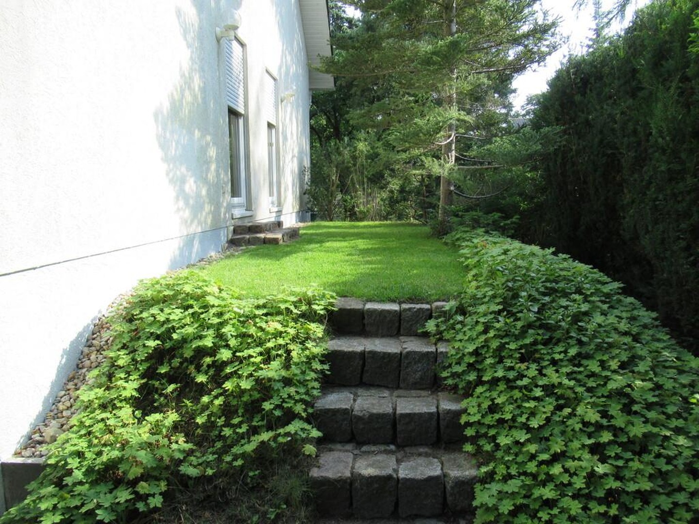 Property thumbnail 5