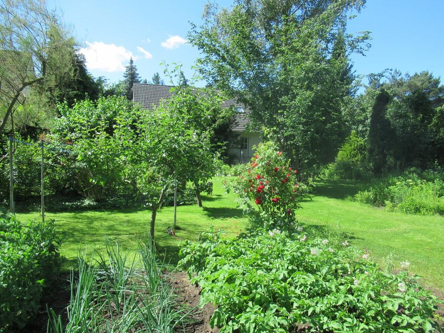 Property thumbnail 7