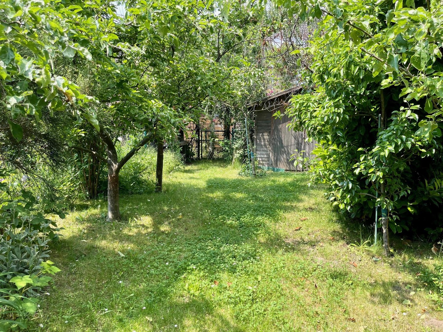 Property thumbnail 21