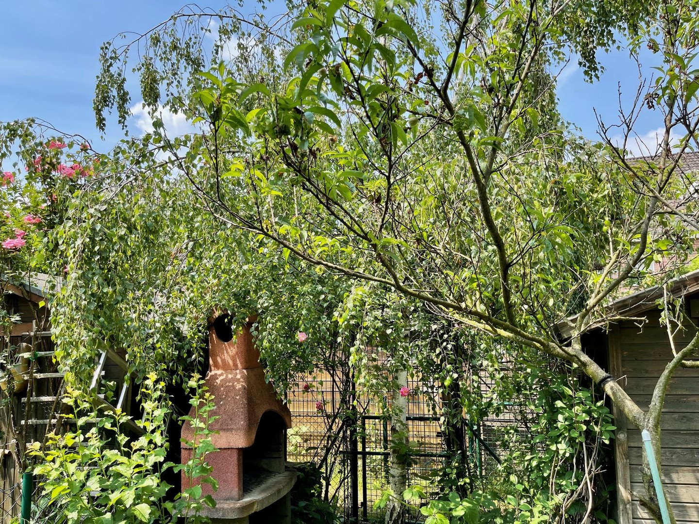 Property thumbnail 22