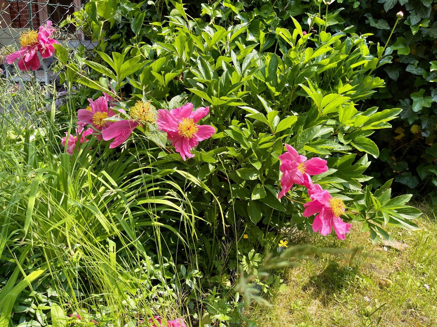 Property thumbnail 23