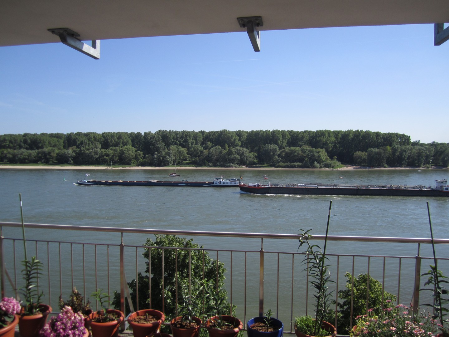 Schiffe zählen. Den ganzen Tag!