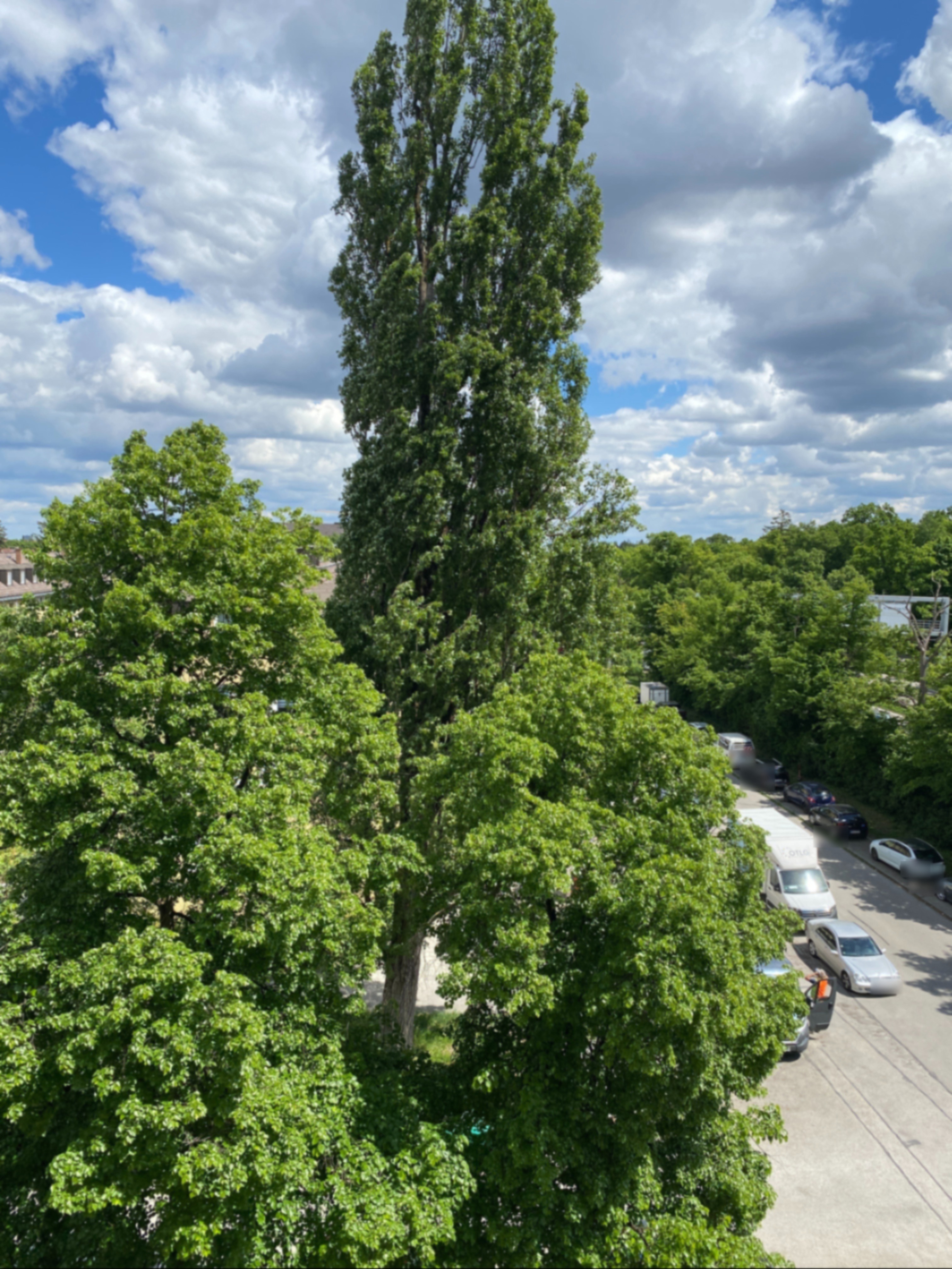 Property thumbnail 16