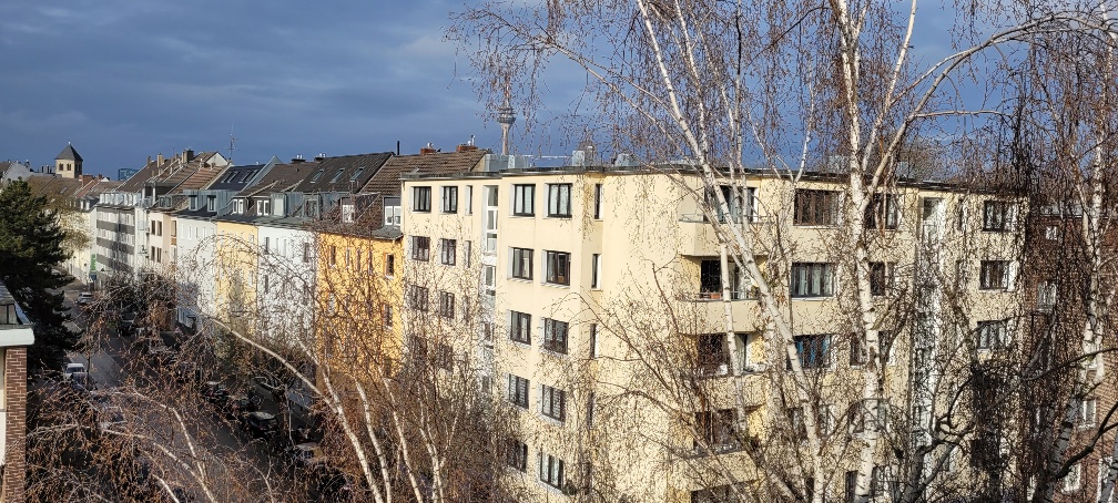 Property thumbnail 6