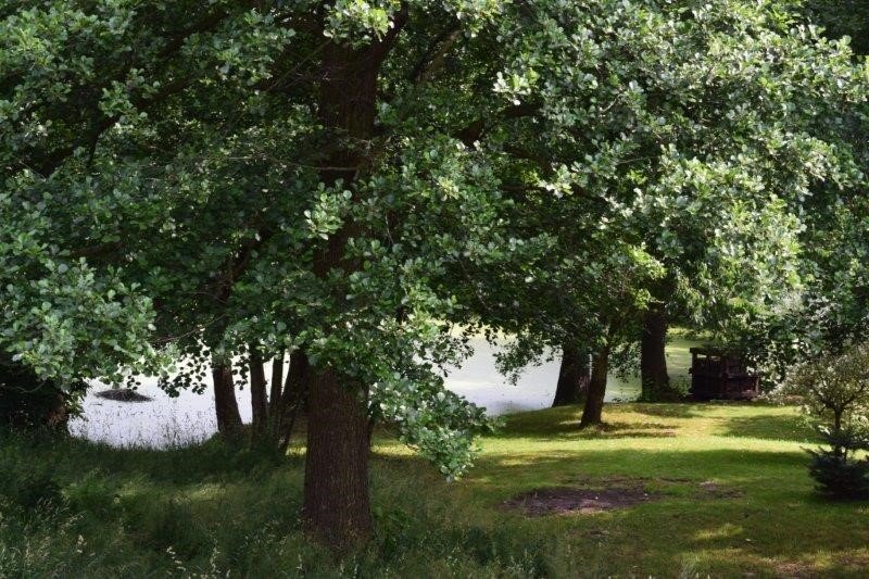 Immobilie in Blankenhain - Einfamilienhaus mit Einliegerwohnung!+++0151-10658277---Nicole Bamberger+++ - Bild 0