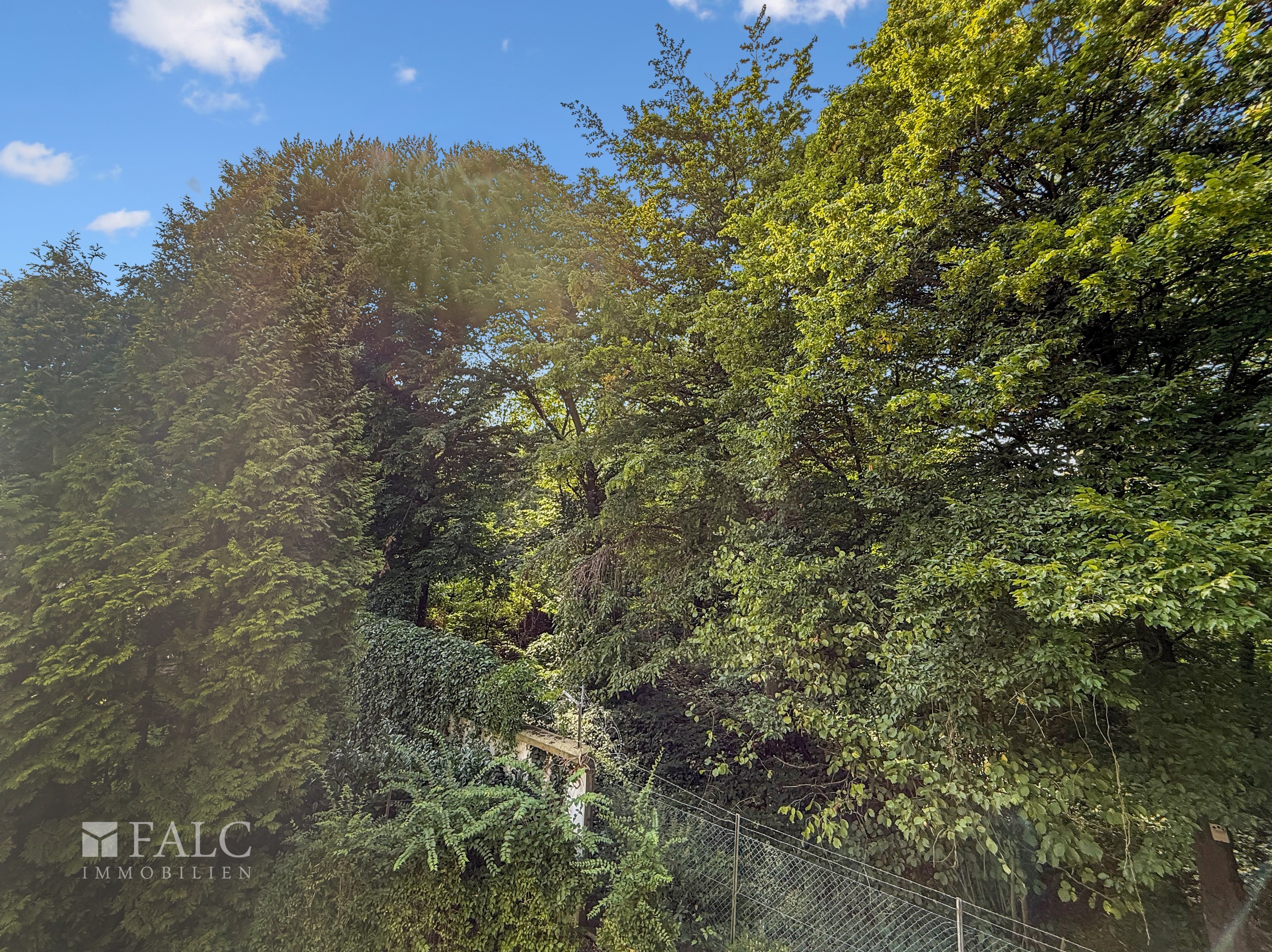 Property thumbnail 13