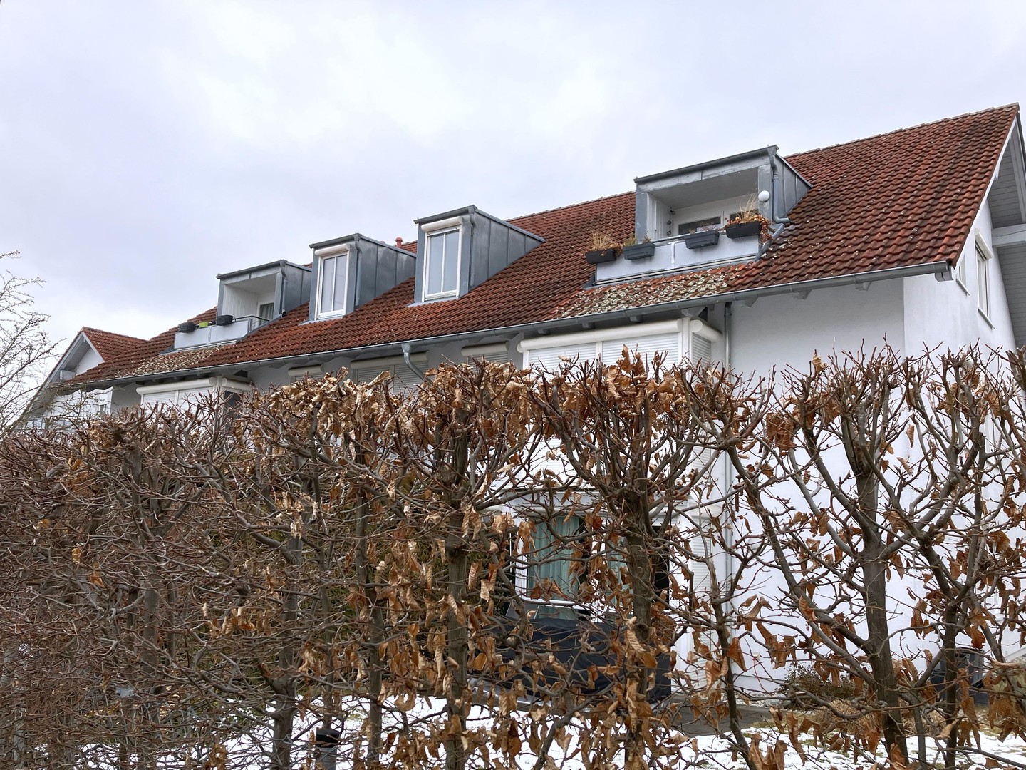 Property thumbnail 13