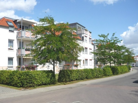 Property thumbnail 12