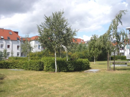 Property thumbnail 13