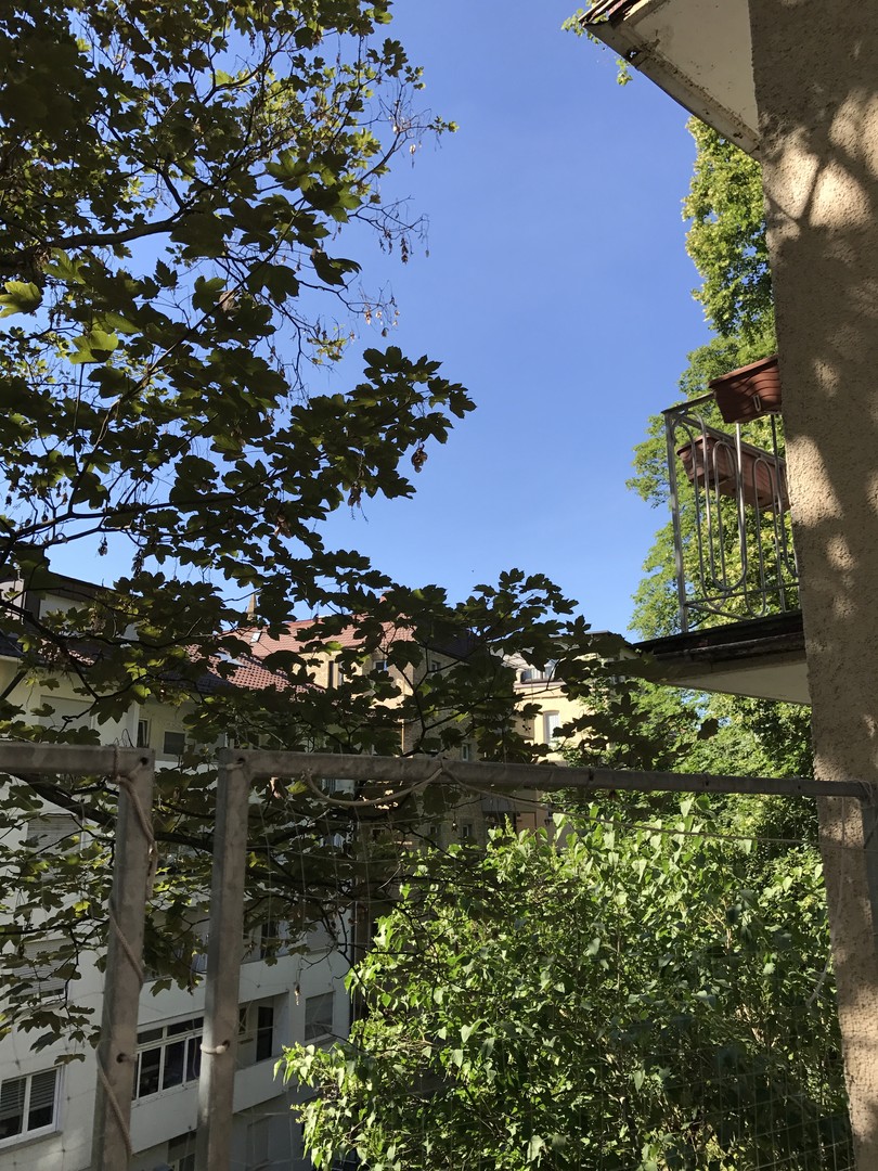 Klasse Lage: WG möglich, 3 Zi.-Whg., EKB, Terrasse / Kernerviertel / Schützenstraße