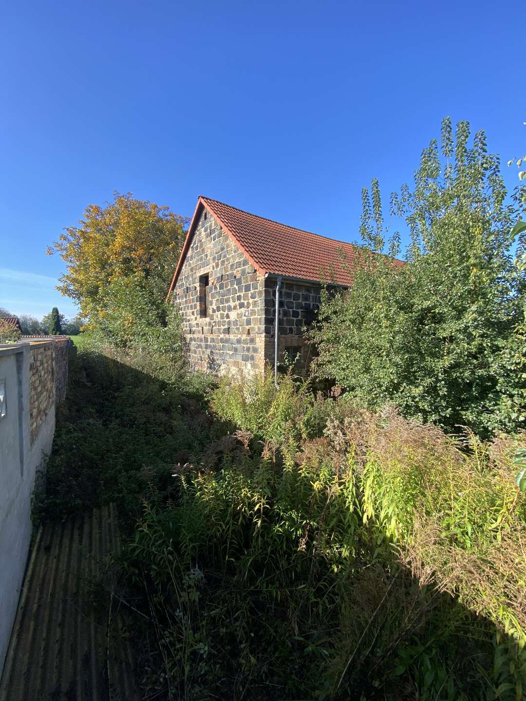 bg