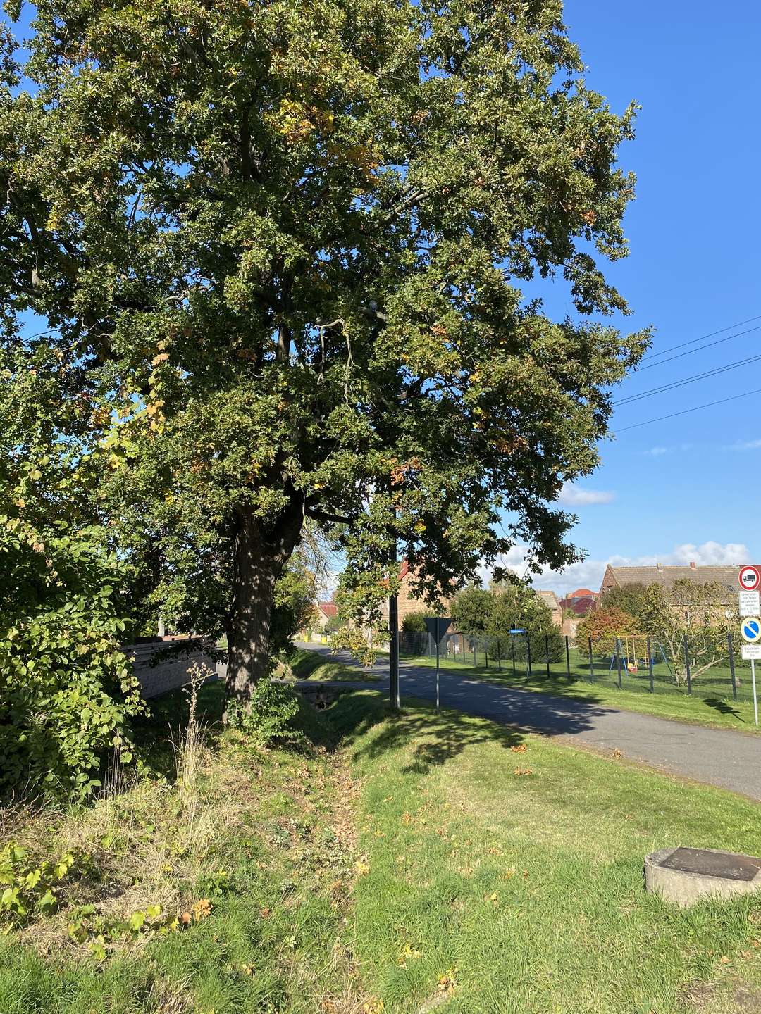 bg