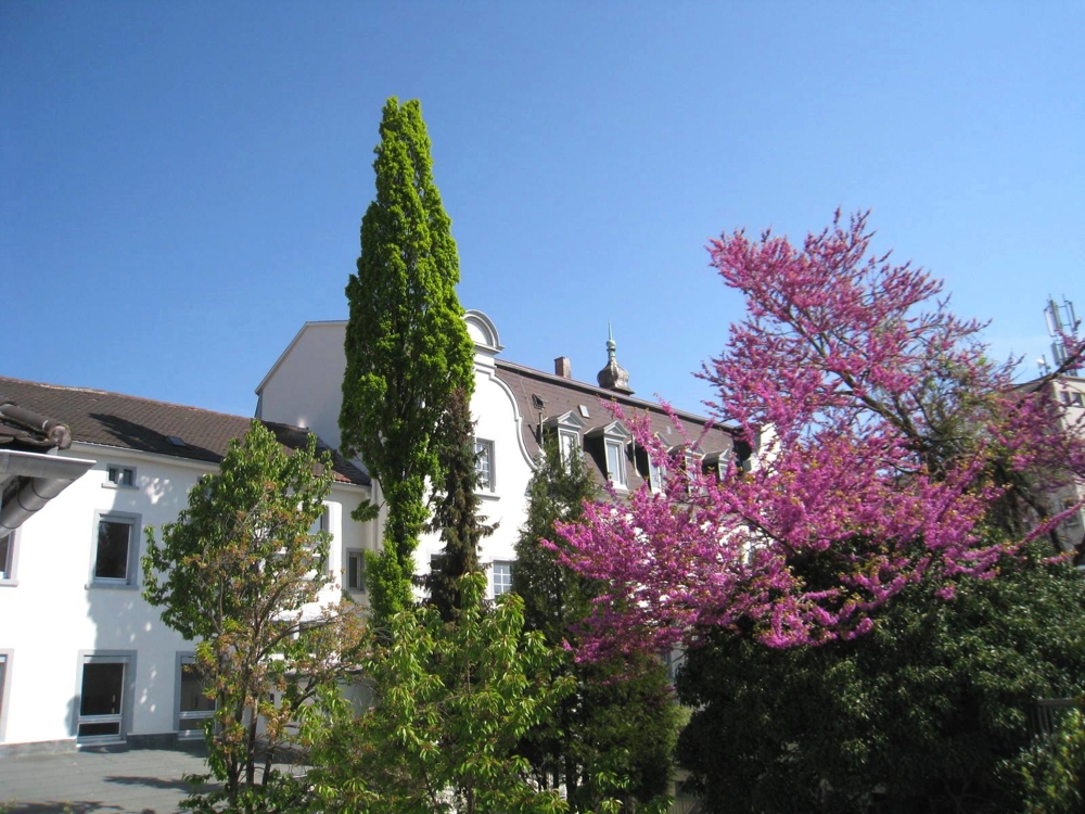 EHEMALIGE BANK, EHEMALIGES HOTEL... – Neustadt an der Weinstraße – Vorschaubild 8