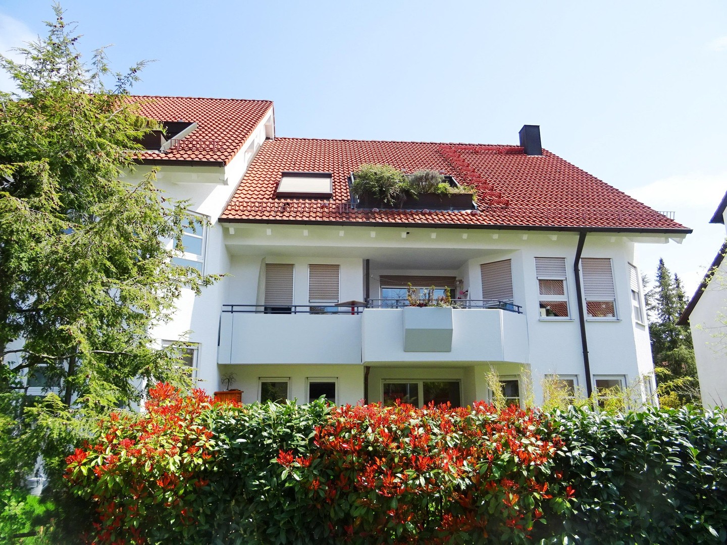 Property thumbnail 16