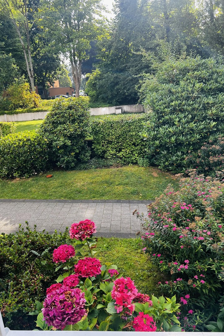 Property thumbnail 13