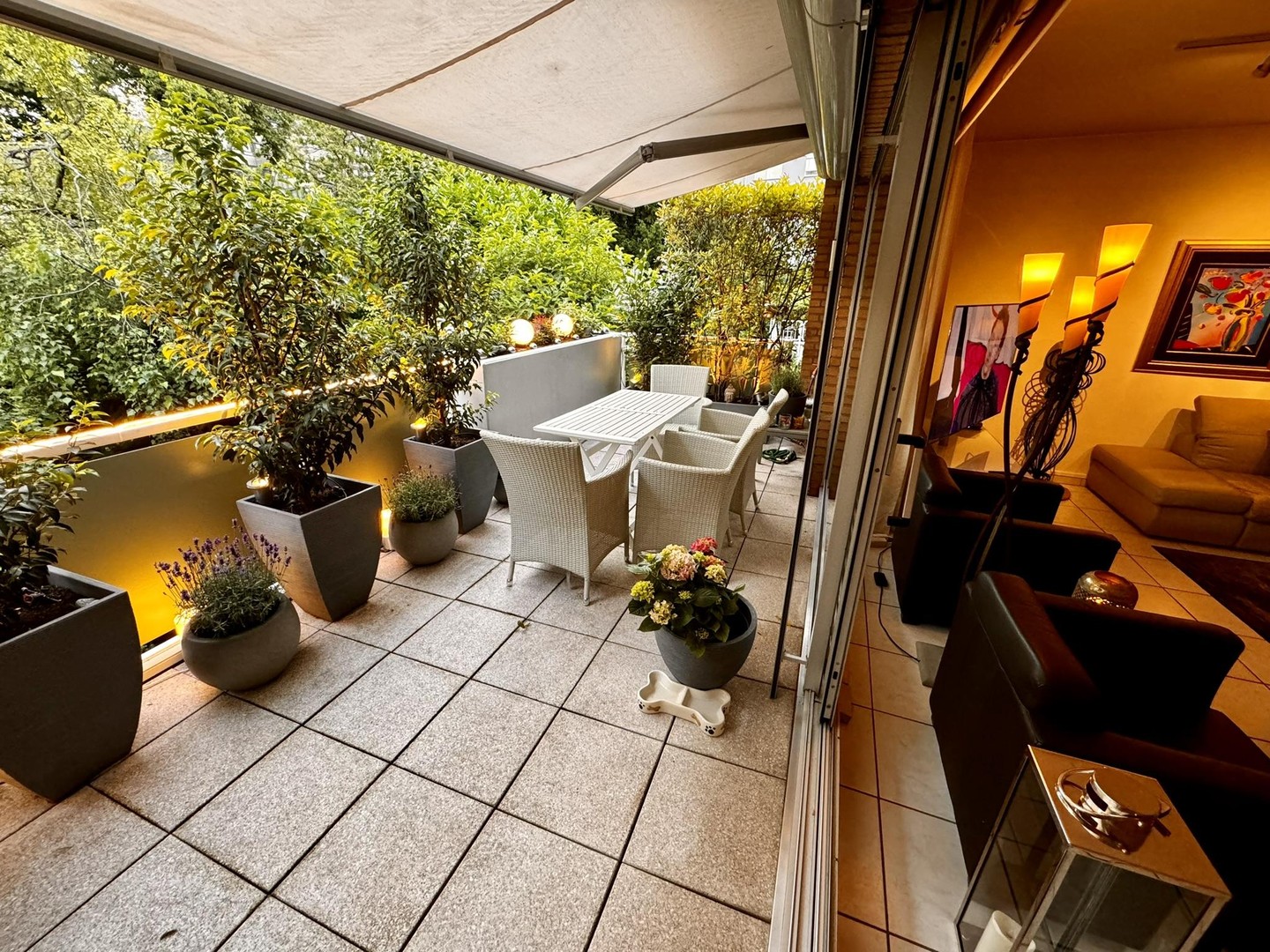 Property thumbnail 6