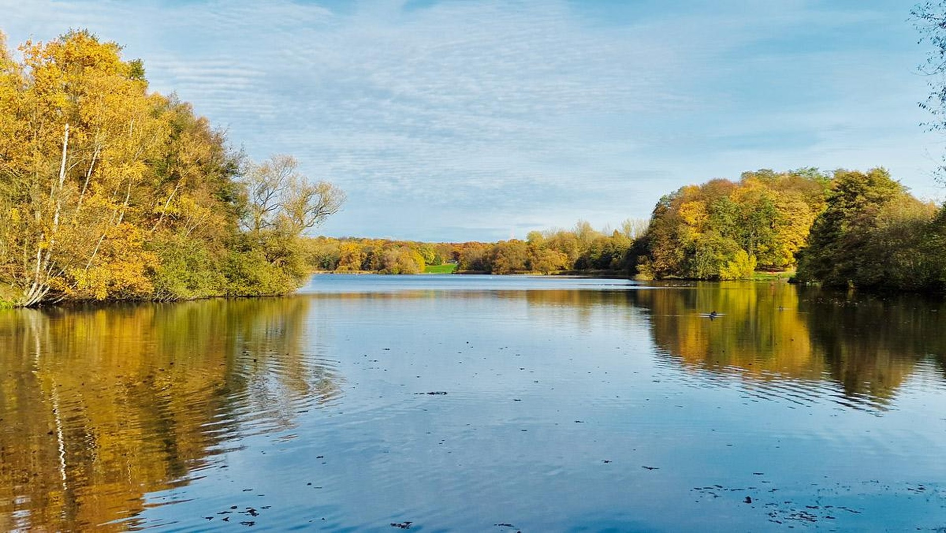 Property thumbnail 22