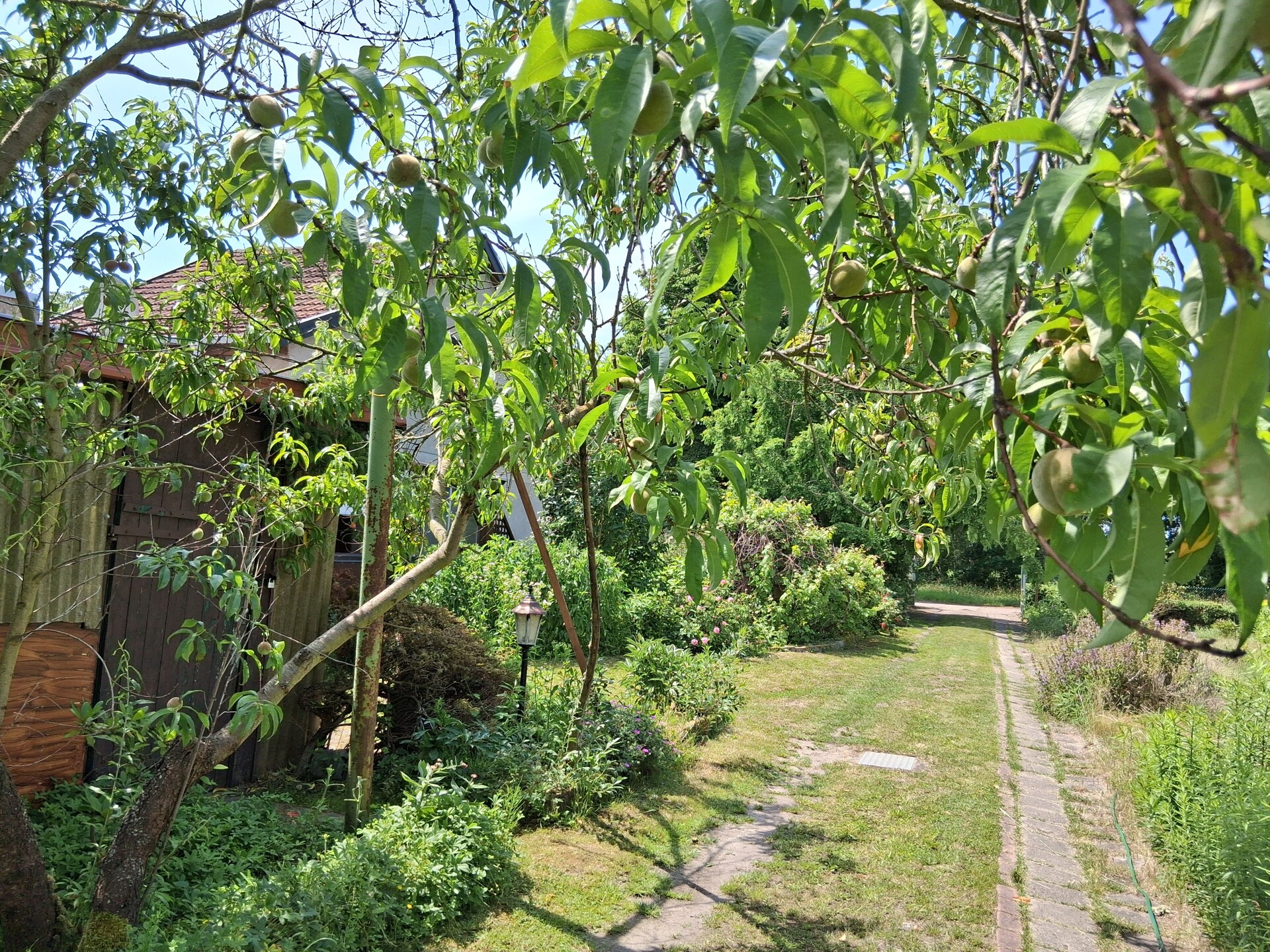 Immobilie in Stendal - Klein, aber fein - Doppelhaushälfte auf attraktivem Grundstück im Osten von Stendal - Bild 0