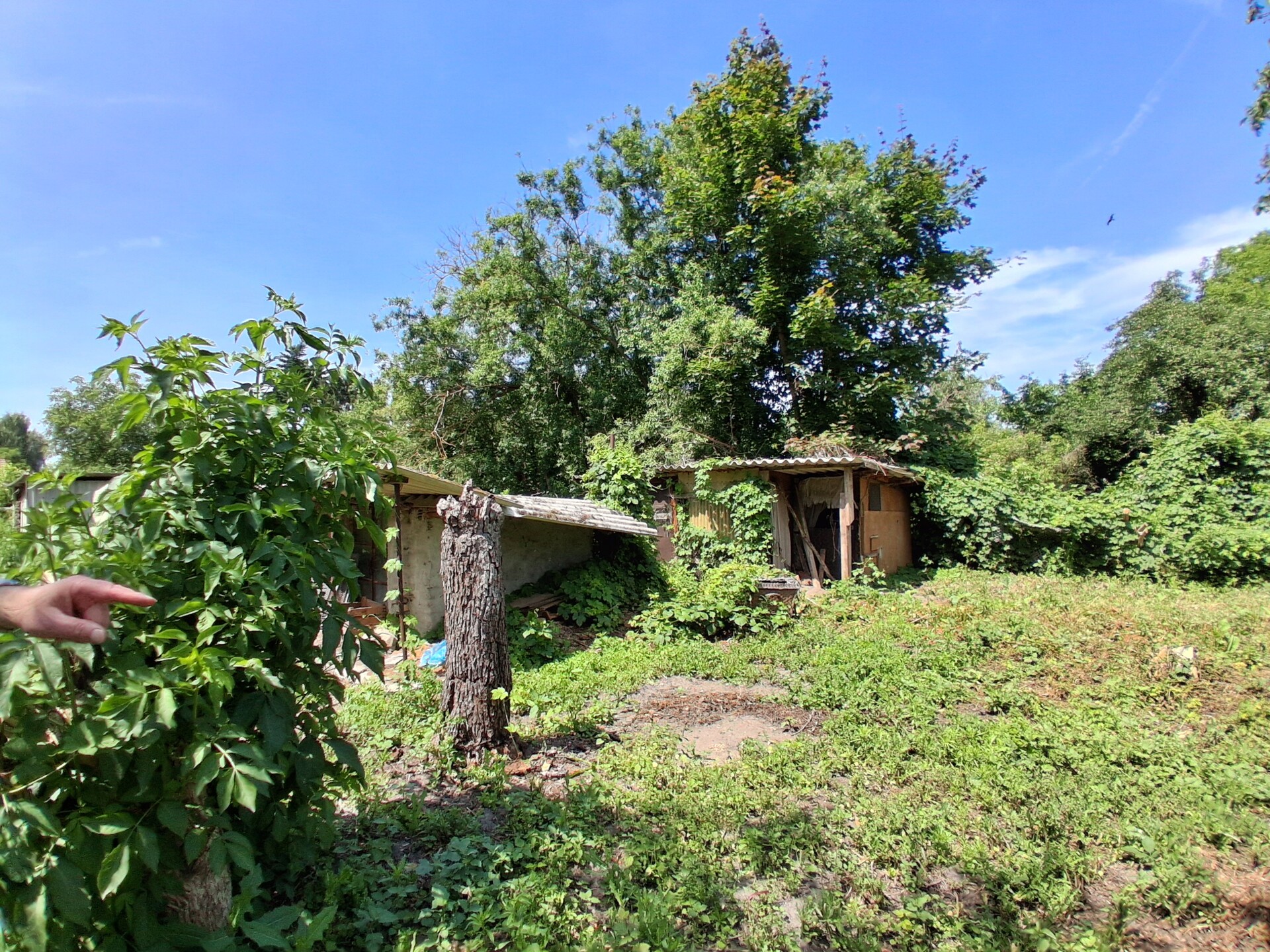 Immobilie in Stendal - Klein, aber fein - Doppelhaushälfte auf attraktivem Grundstück im Osten von Stendal - Bild 1