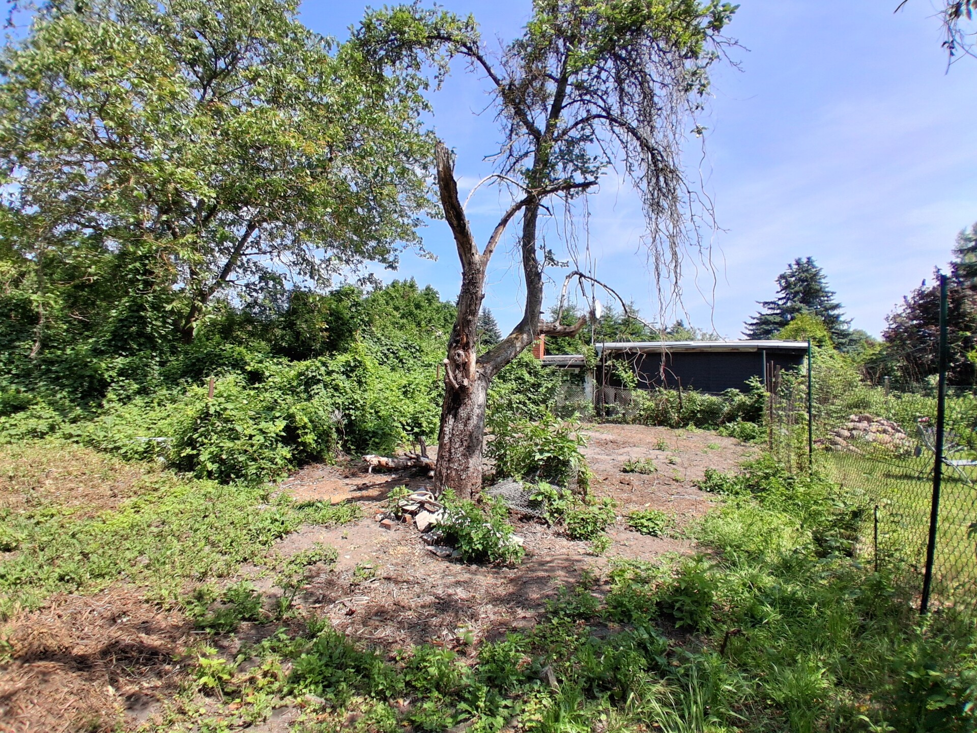 Immobilie in Stendal - Klein, aber fein - Doppelhaushälfte auf attraktivem Grundstück im Osten von Stendal - Bild 2
