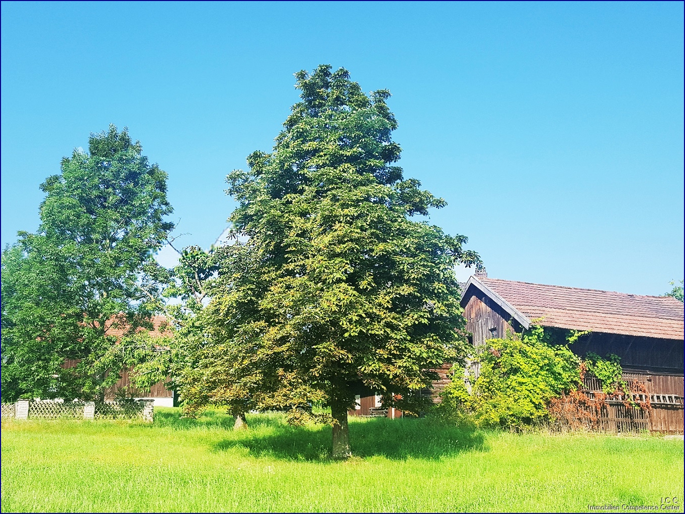 *** FESTPREIS: 250.000,- EUR *** – Simbach am Inn / Beingarten – Vorschaubild 5