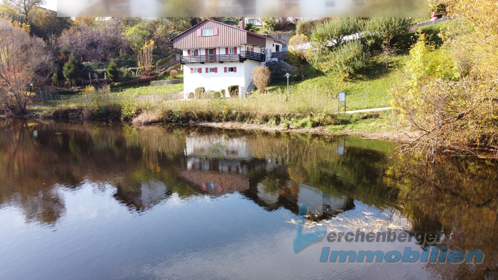 Natur pur! Wohnhaus mit Einliegerwohnung in toller Naturlage in Regen – Regen – Vorschaubild 29