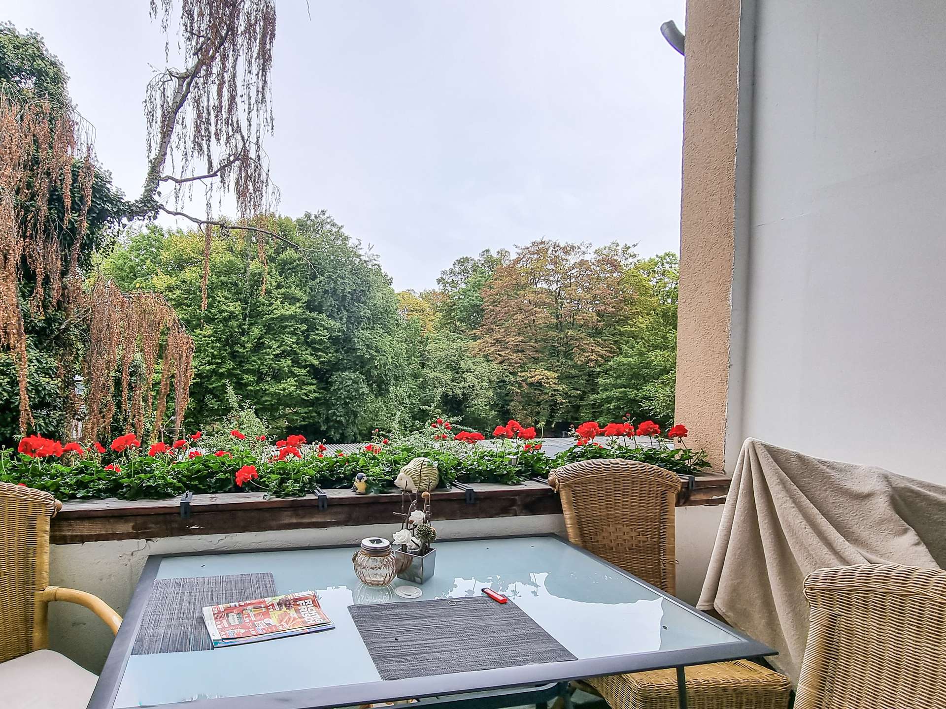 Property thumbnail 7