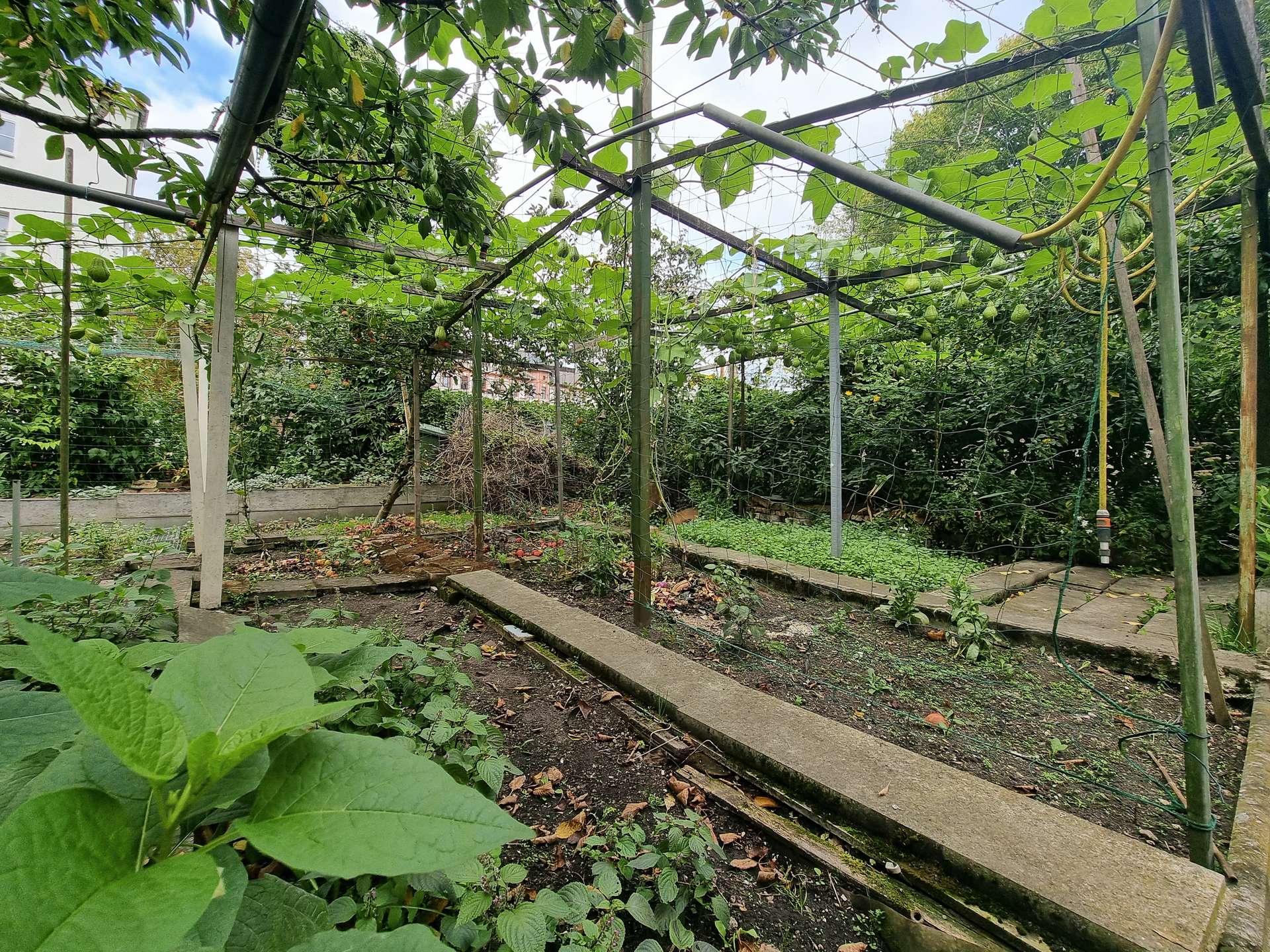 Property thumbnail 11