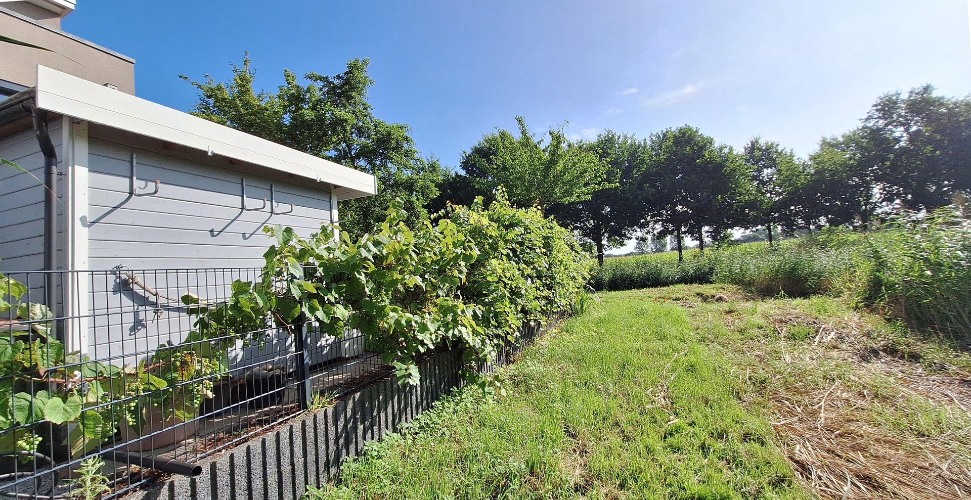 Property thumbnail 27