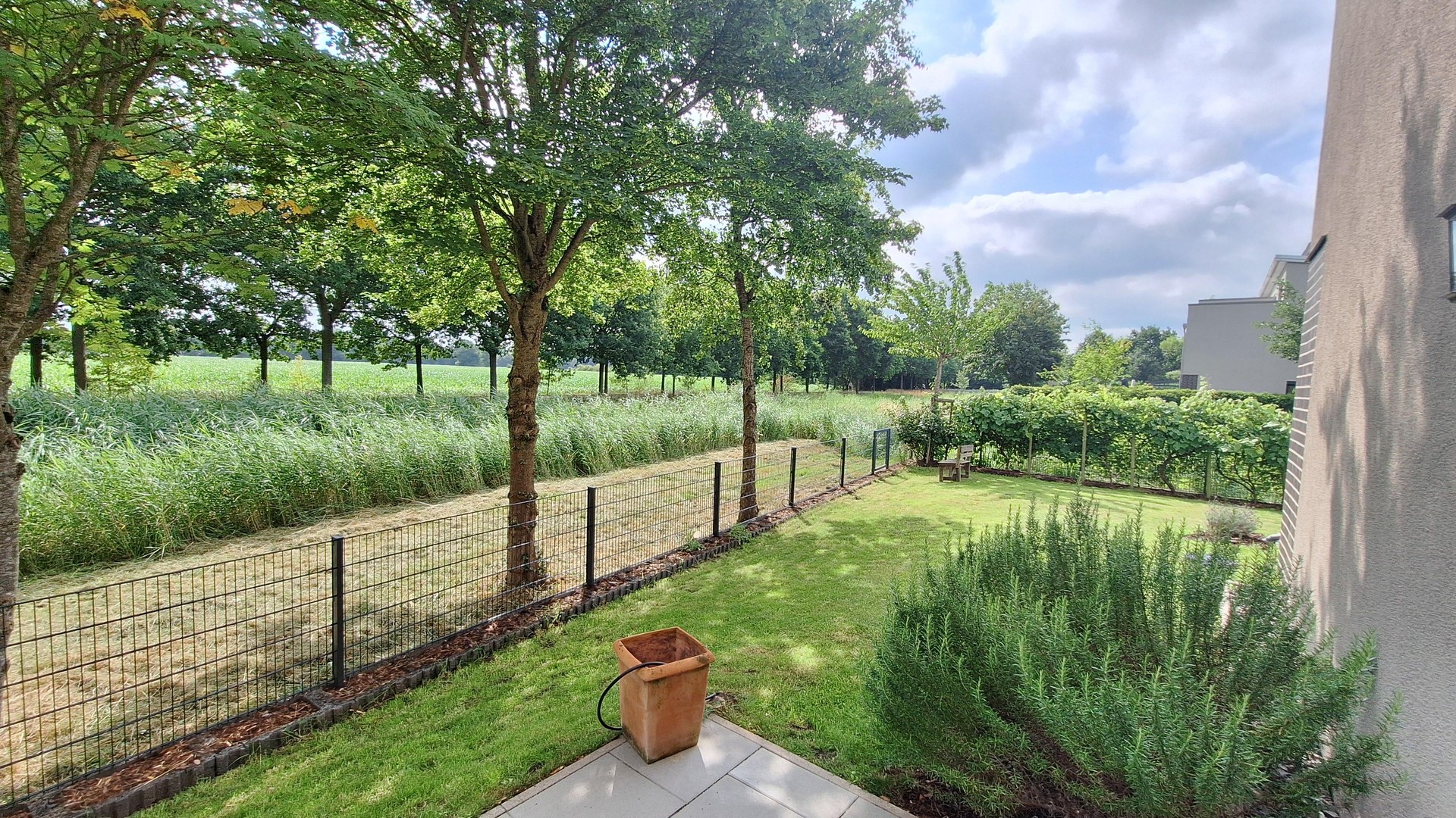 Property thumbnail 29