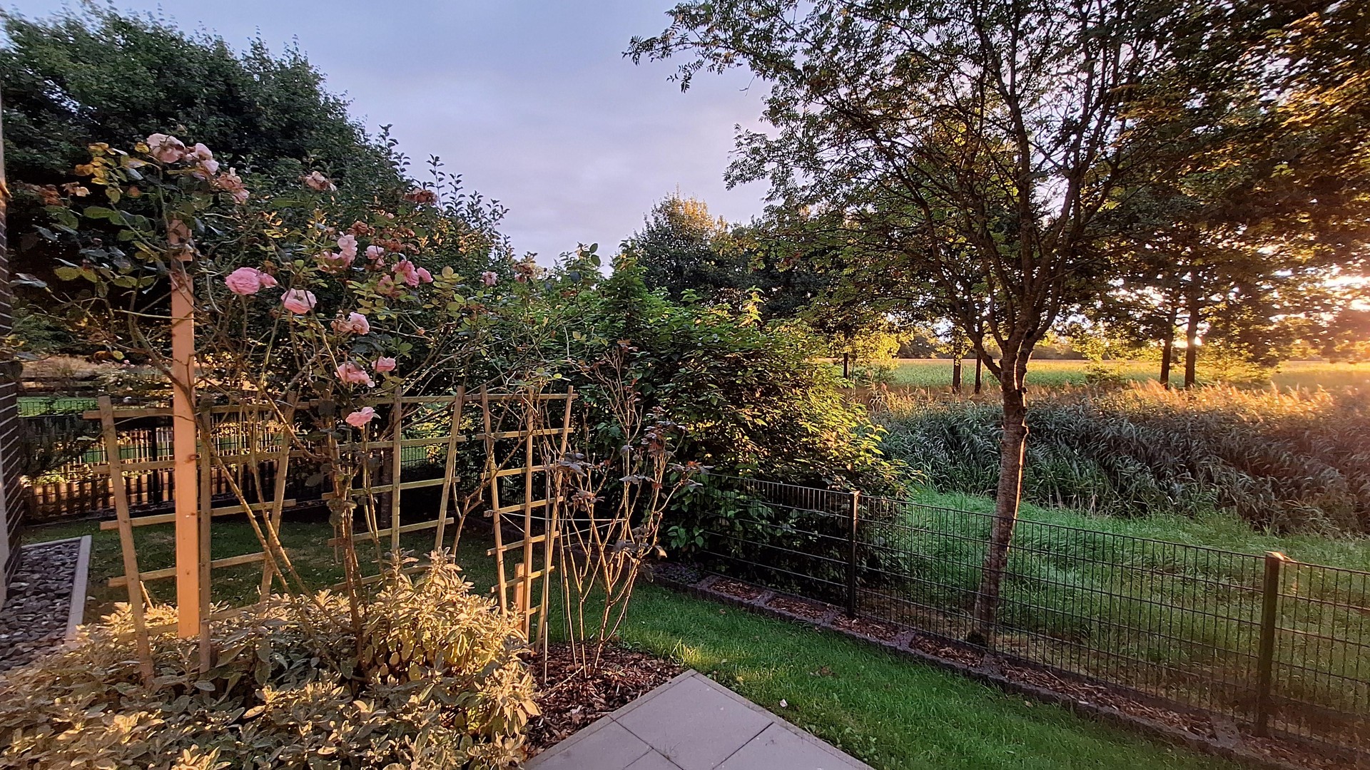 Property thumbnail 32