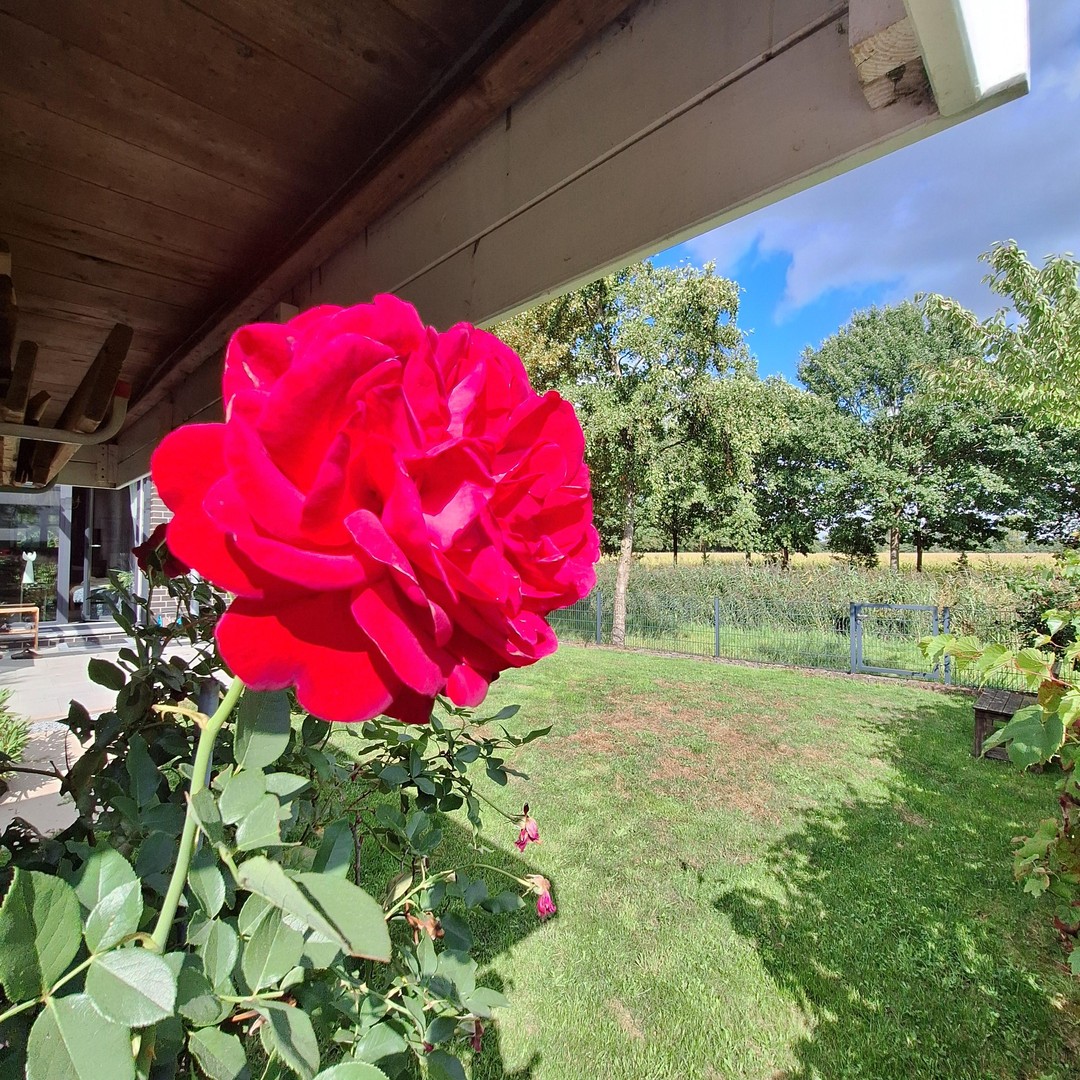 Property thumbnail 34