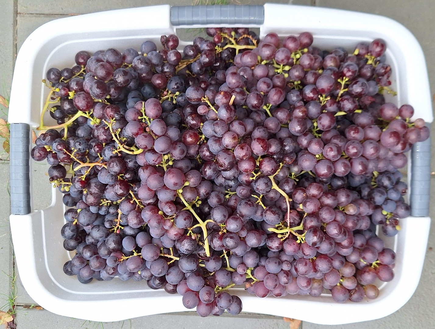 Property thumbnail 35