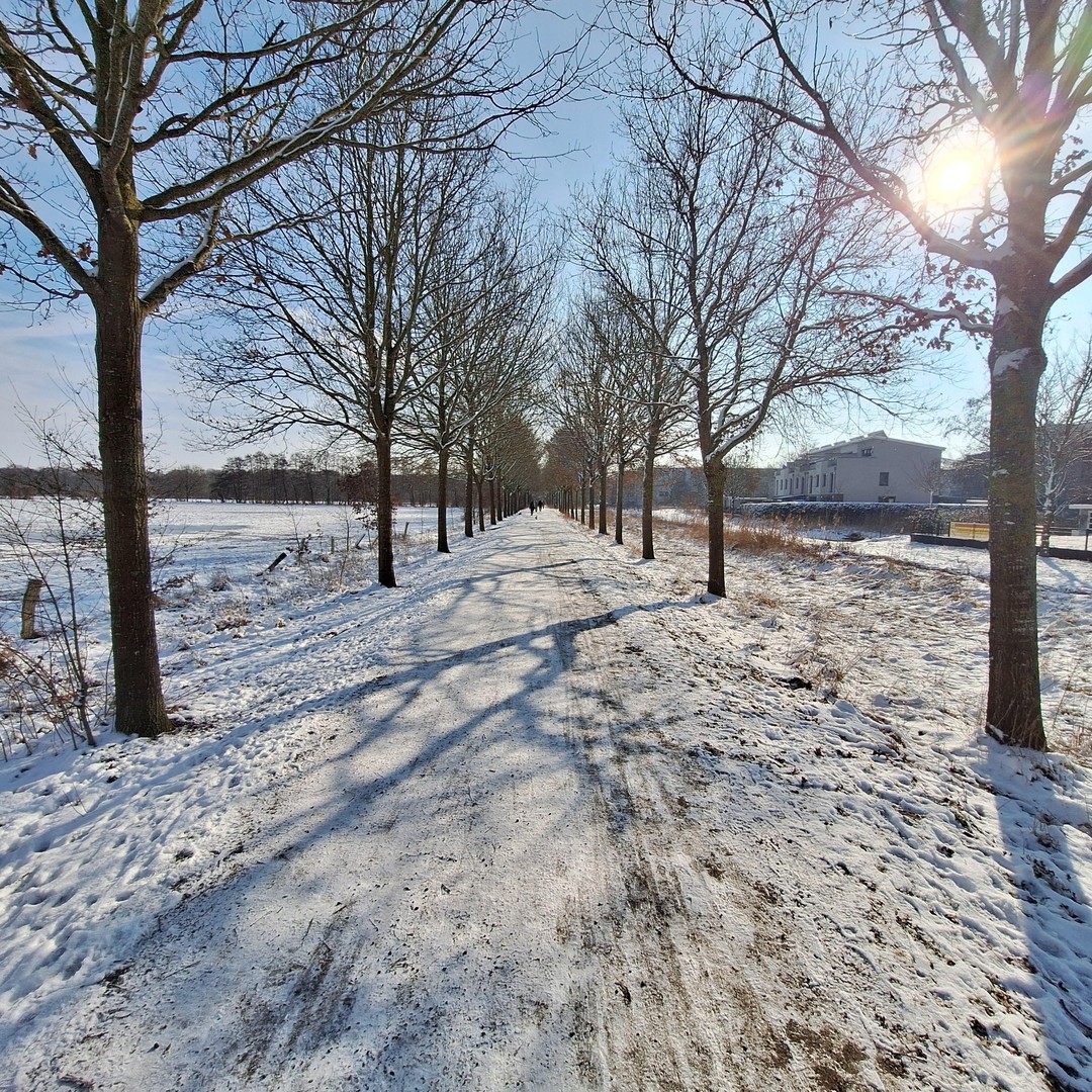 Property thumbnail 44