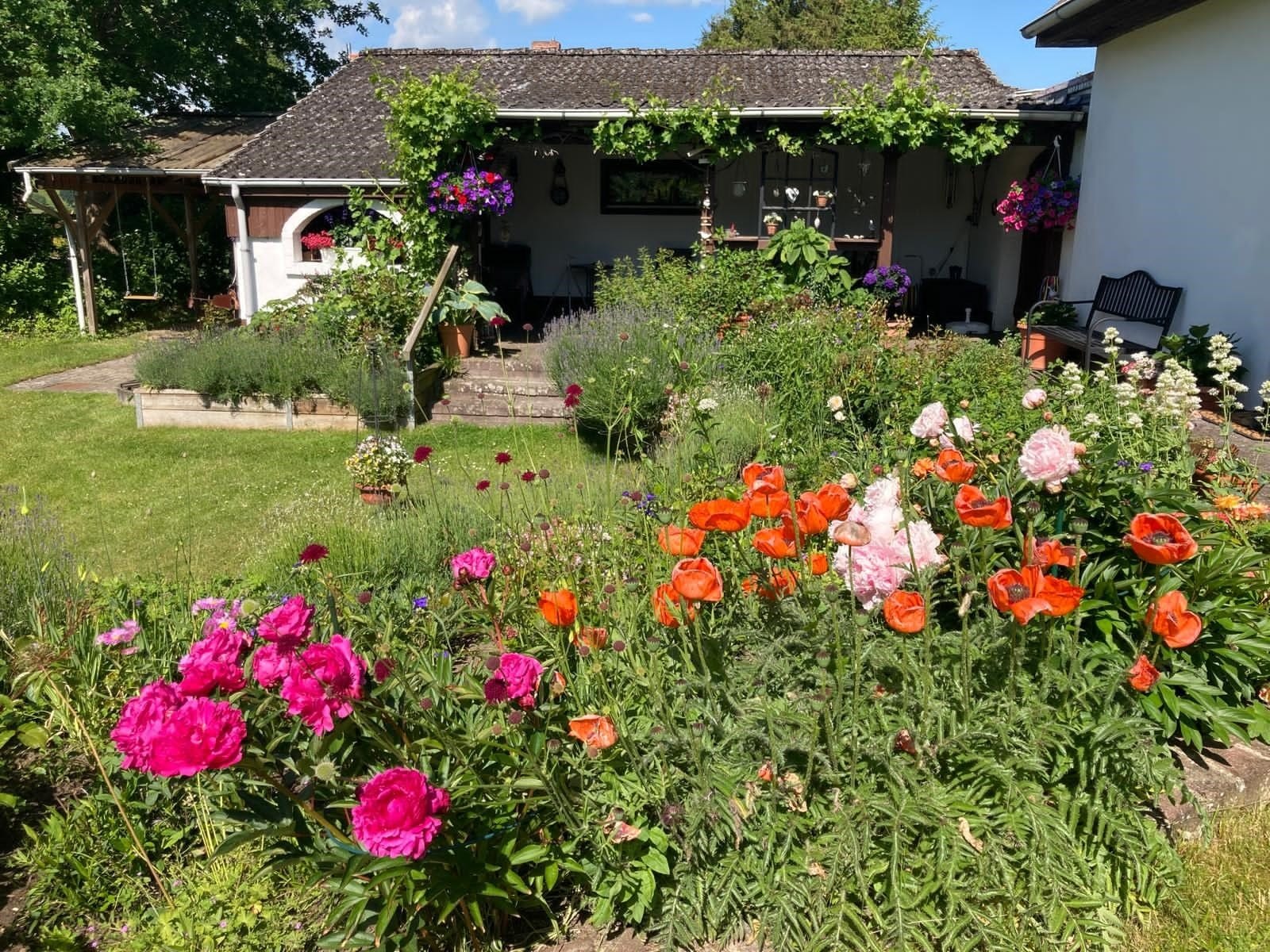 Einfamilienhaus mit großem Grundstück – Süsel – Vorschaubild 2