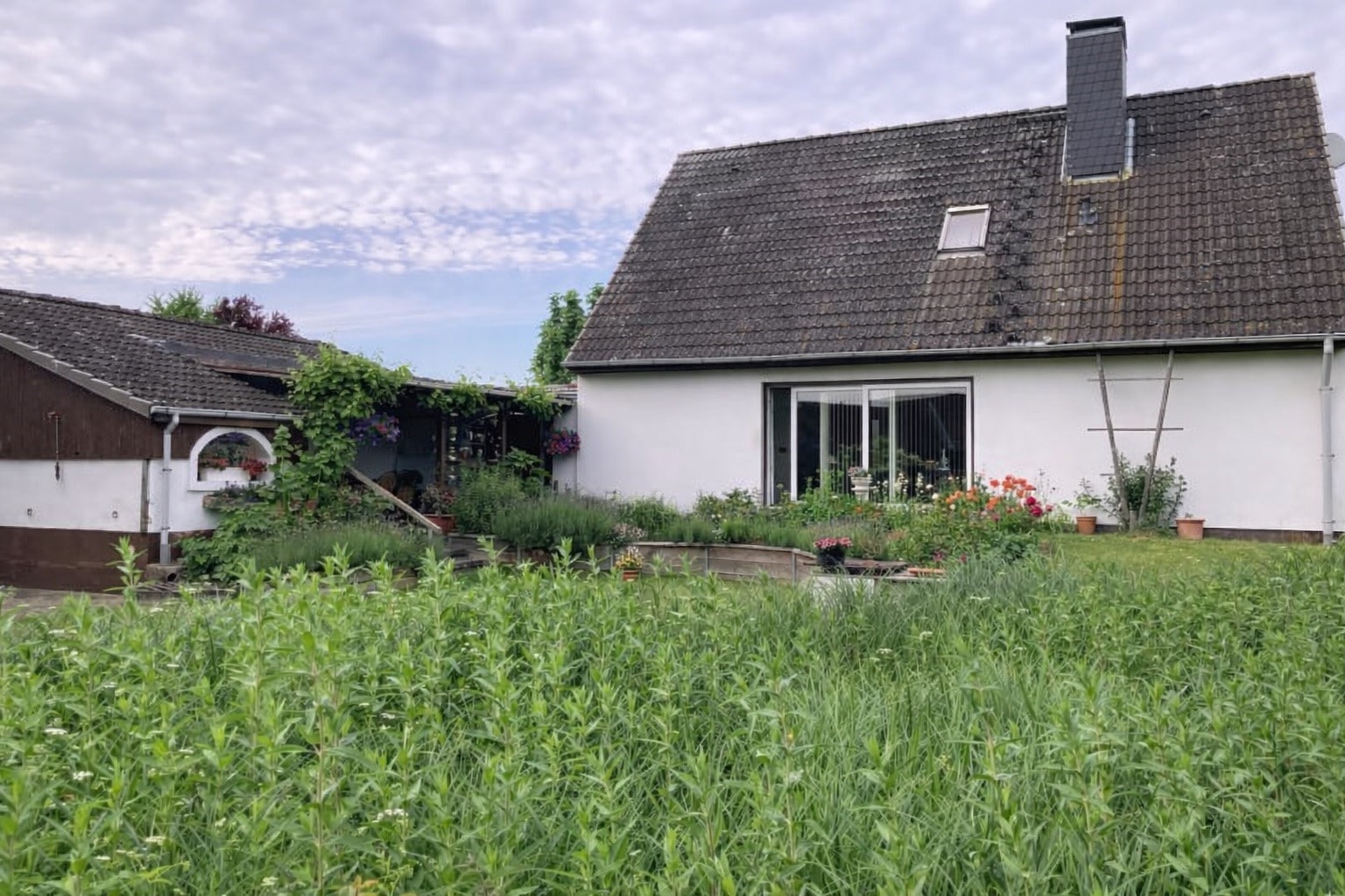 Einfamilienhaus mit großem Grundstück – Süsel – Vorschaubild 4