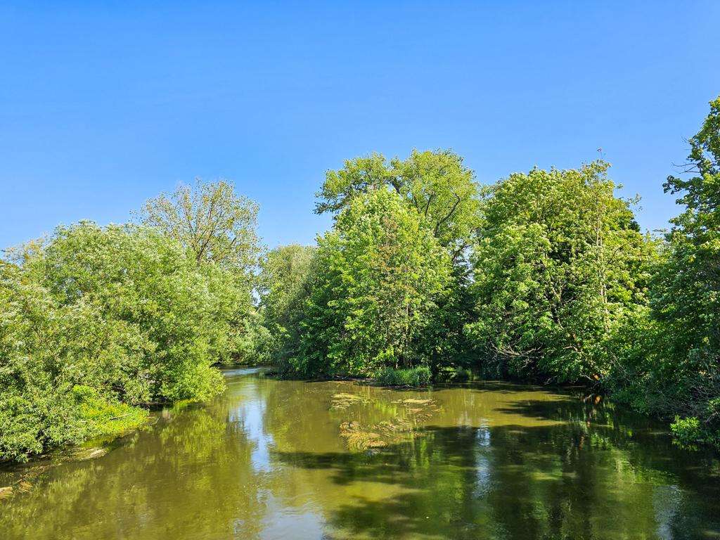 Property thumbnail 12