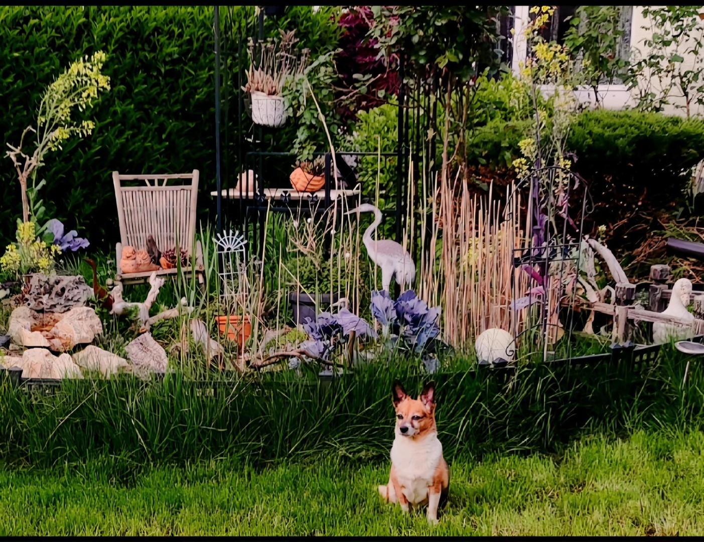 Property thumbnail 31