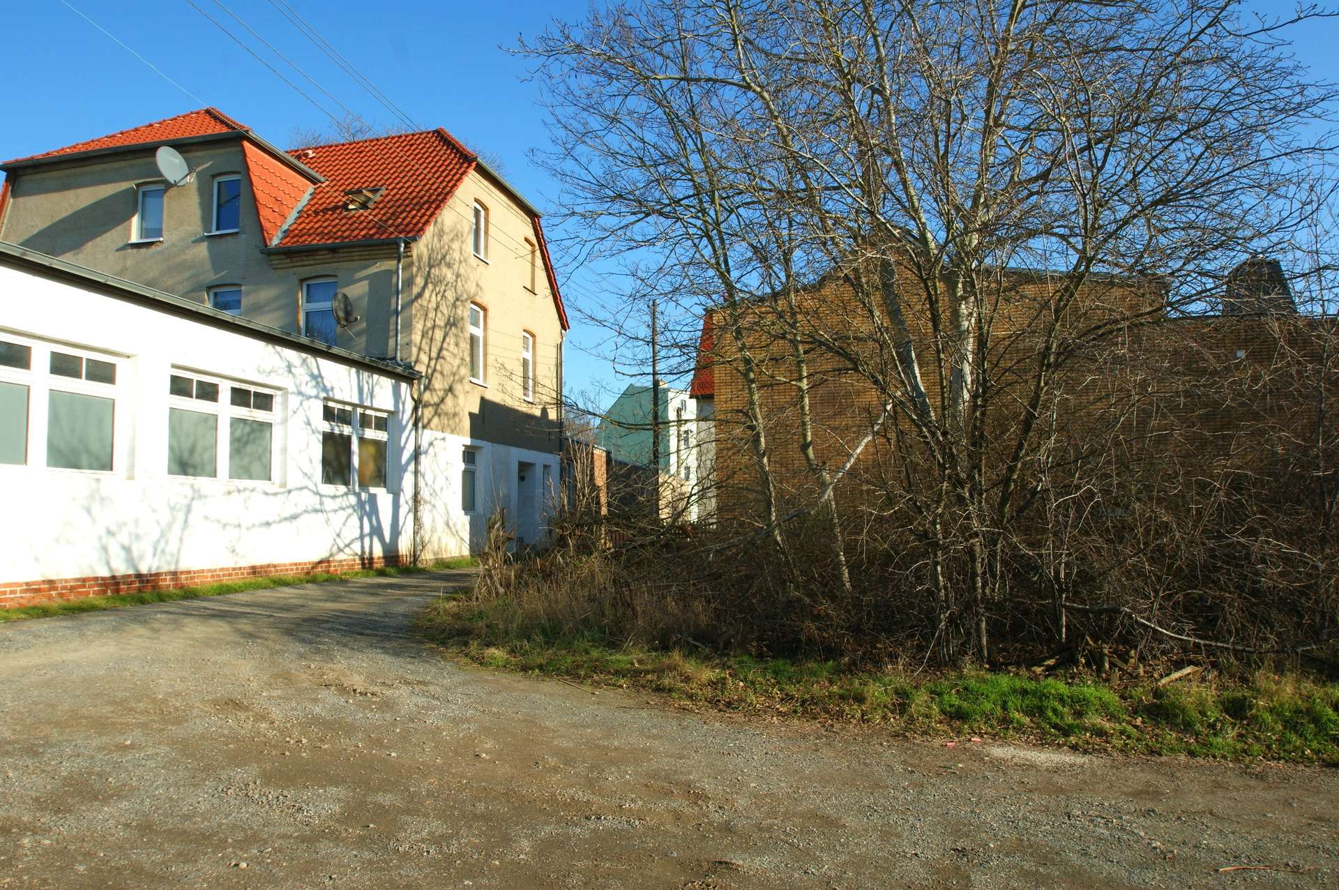 bg