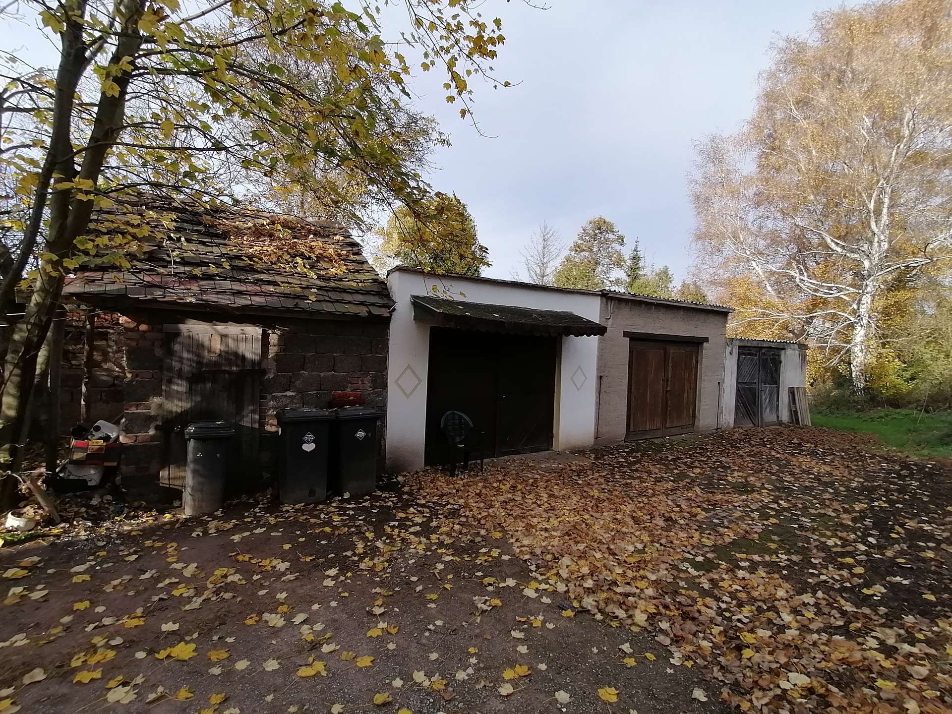 bg