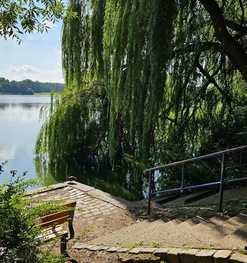 Property thumbnail 28