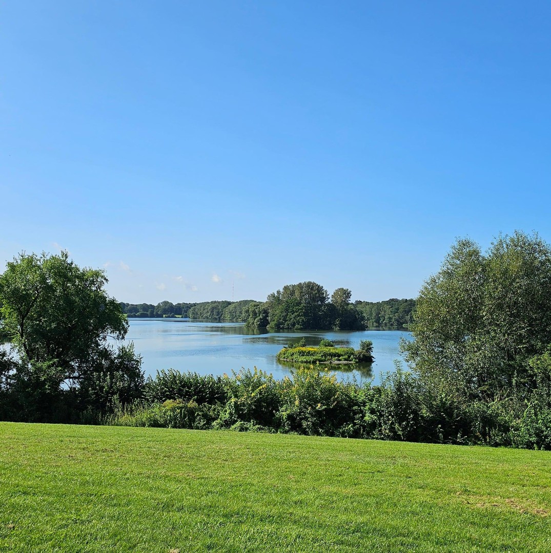 Property thumbnail 29