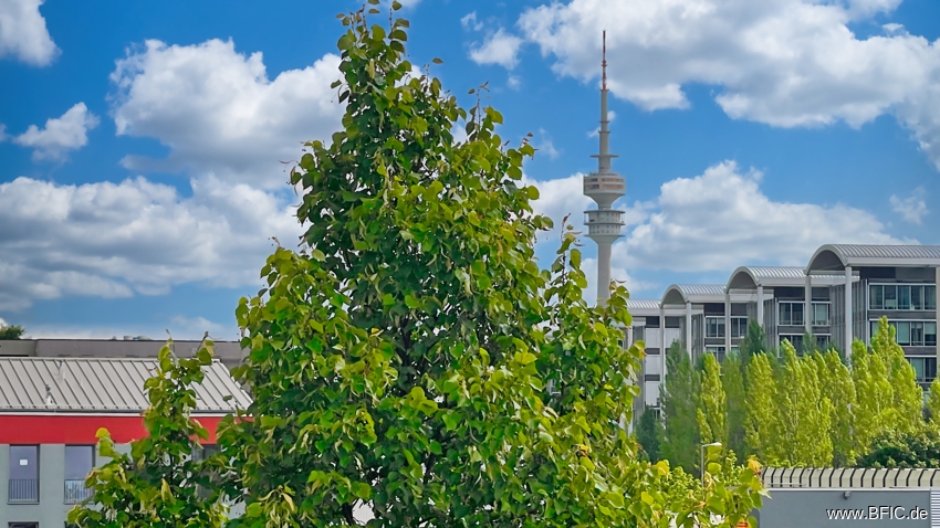 Property thumbnail 21