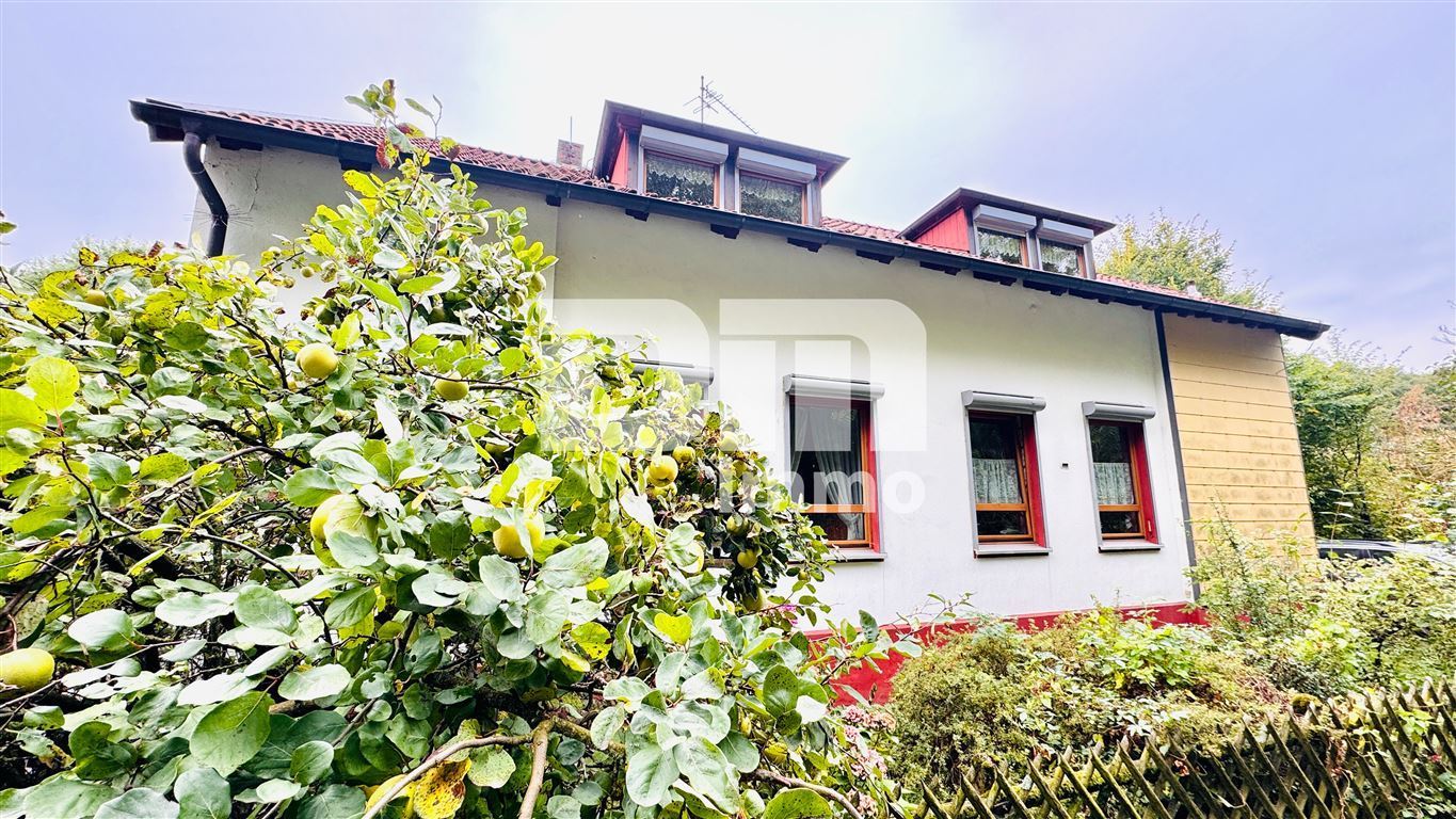 Modernisiertes Einfamilienhaus auf riesigem Grundstück mit Carport und Nebengebäude – Steinheim , Westf – Bild 1 von 25