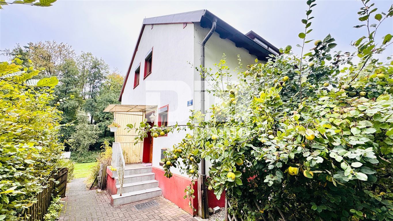 Modernisiertes Einfamilienhaus auf riesigem Grundstück mit Carport und Nebengebäude – Steinheim , Westf – Vorschaubild 3