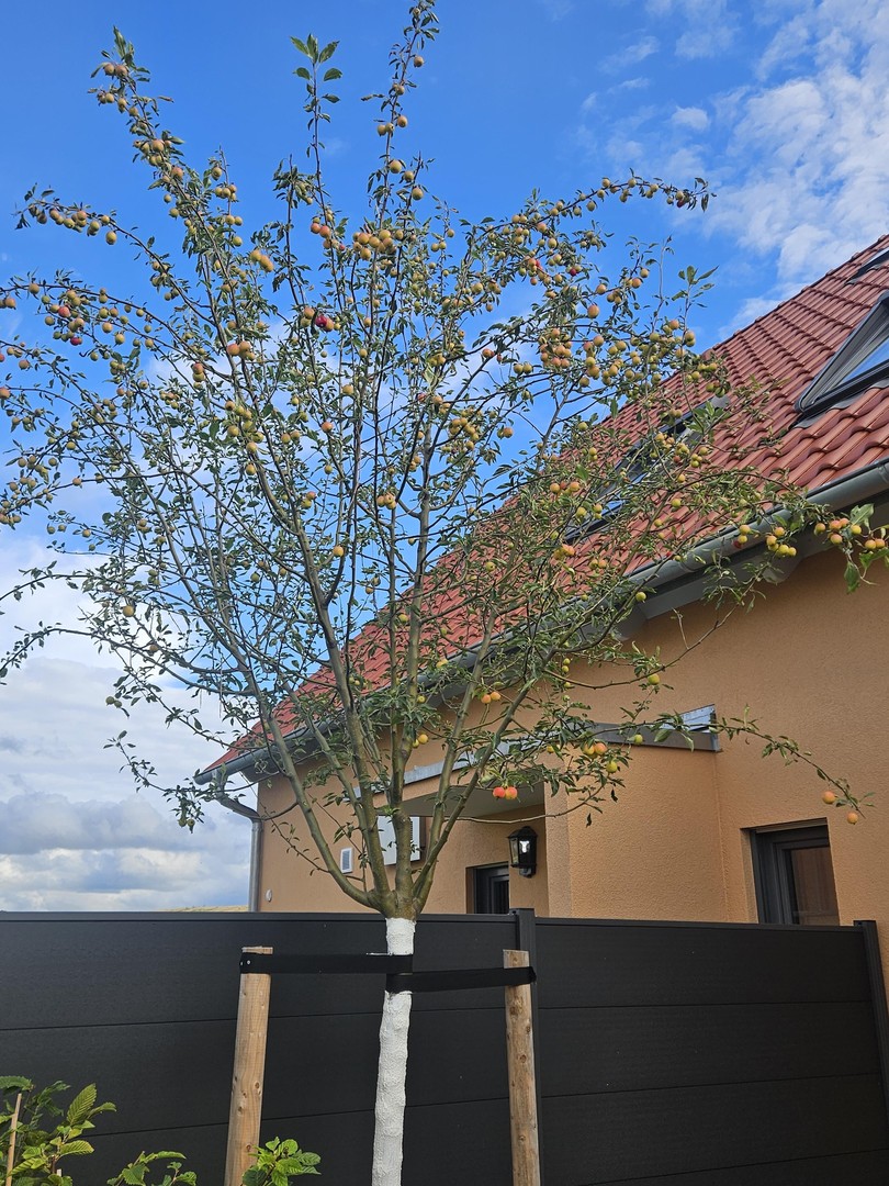 Property thumbnail 31