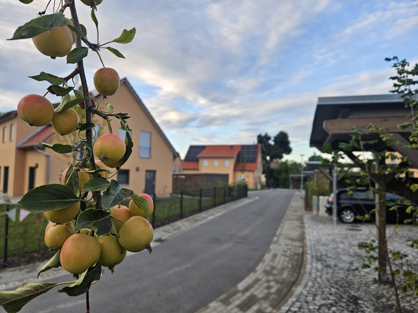 Property thumbnail 42